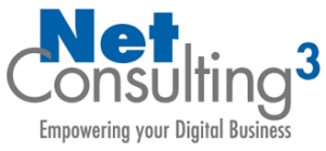 Netconsulting3