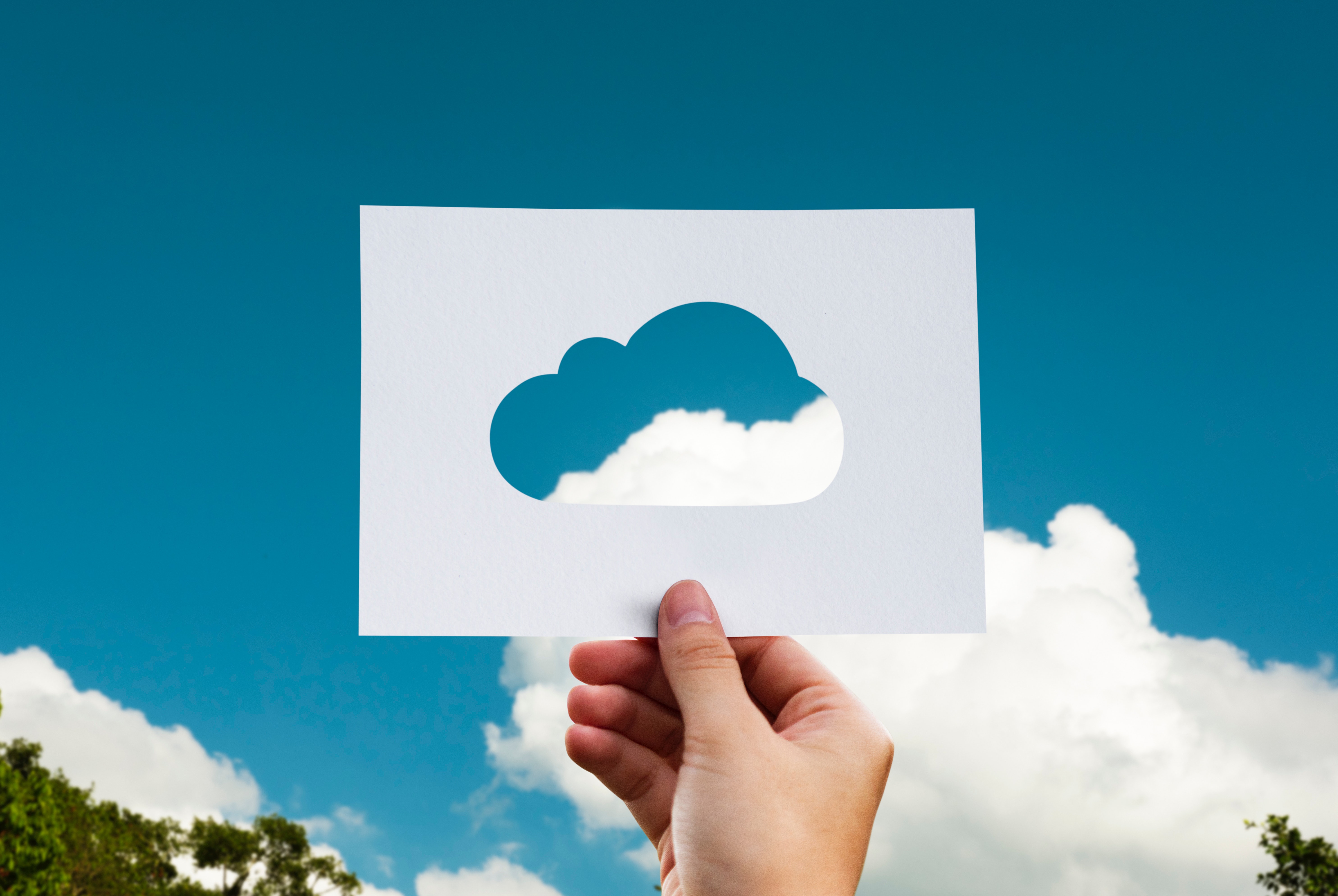 Il 2019 nel cloud: i trend di innovazione delle aziende italiane